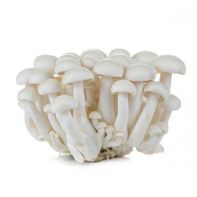 白玉菇 170g