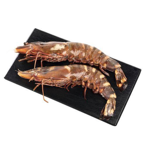 急冻大号印度老虎虾（1KG 4只）
