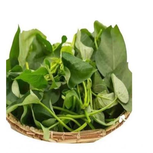 空运番薯叶 / 地瓜叶 250g (短期供应货品）