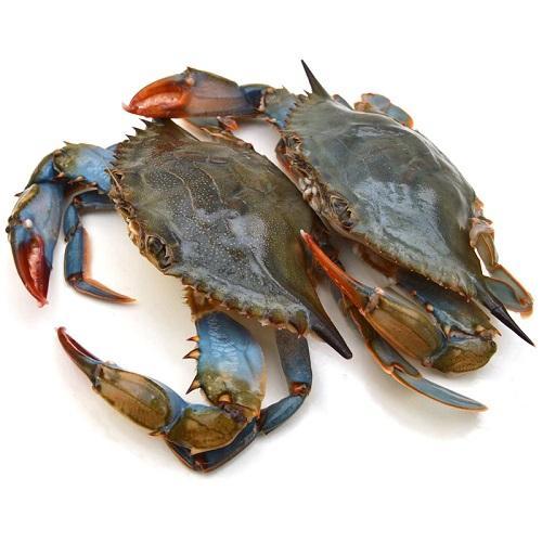 希腊活青蟹 Per kg